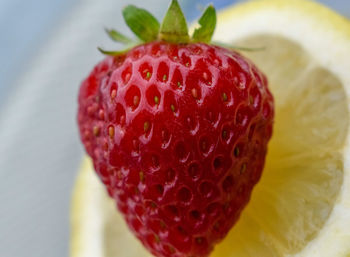 Close-up of strawberry