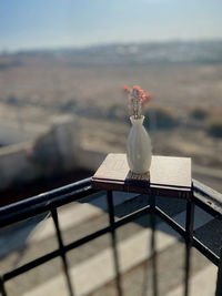 Close-up of white flower on railing against sky