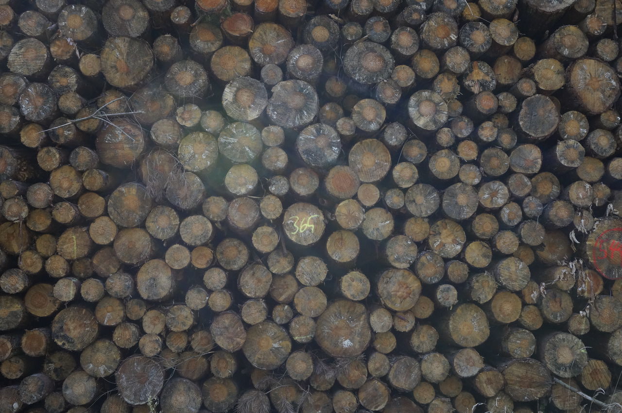 abundance, large group of objects, full frame, backgrounds, stone - object, stack, firewood, textured, lumber industry, log, deforestation, pattern, pebble, wood - material, timber, outdoors, heap, day, high angle view, no people