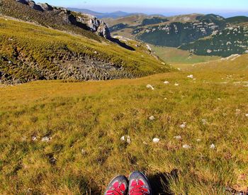 Scenic view of landscape