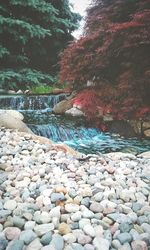 Stones on riverbank