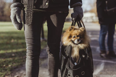 Midsection of woman carrying pomeranian in pet carrier bag on footpath at park