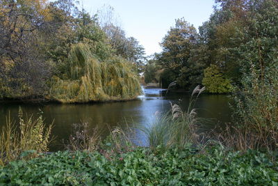 Scenic view of lake by trees against sky