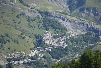 High angle view of trees on mountain