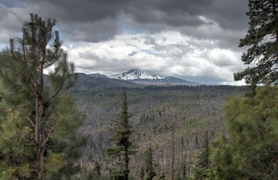 wilderness