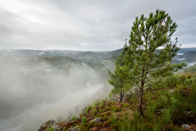 Scenic view of waterfall against sky