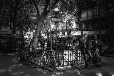 Bicycles on street amidst trees in city at night