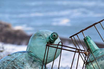 Close-up of parrot perching on metal against sea