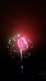 Low angle view of firework display at night