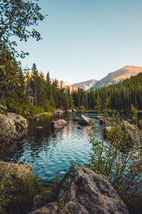Scenic view of lake in forest against clear sky