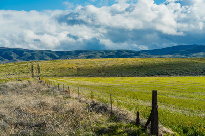 Scenic view of field against sky