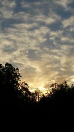 Silhouette of trees against cloudy sky