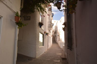 Narrow alley with buildings in background