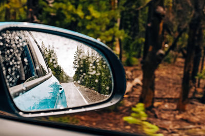 Close-up of side mirror of the car riding through the forest on rainy day