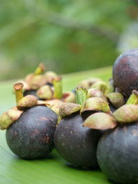 Close-up of fruits on table