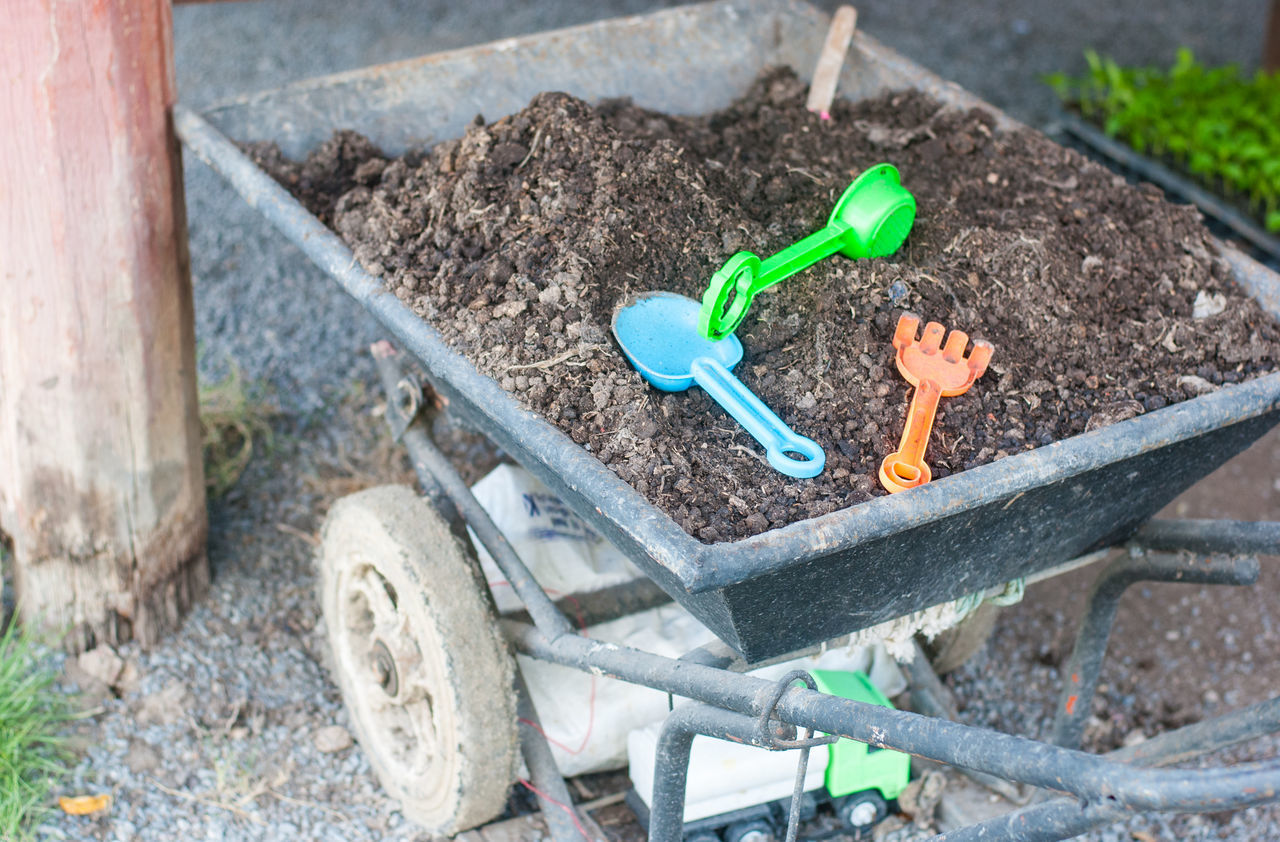 HIGH ANGLE VIEW OF POTTED PLANT