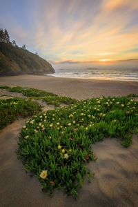 Scenic view of sea against sky during sunset