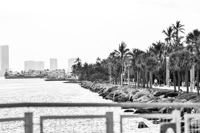 Panoramic shot of palm trees in city against clear sky