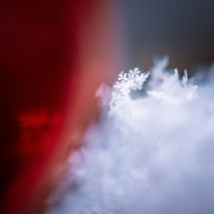 Close-up of snow on sea