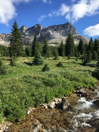 View of landscape against cloudy sky