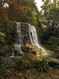 Waterfall in forest