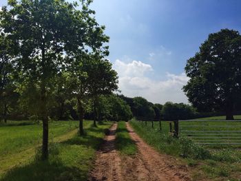 Footpath amidst grassy field