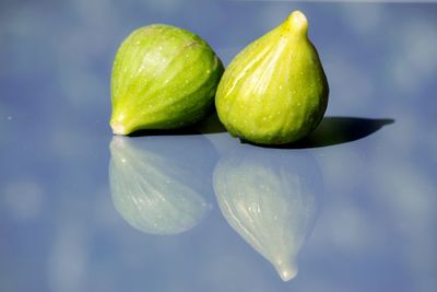 Close-up of wet fruit on plant