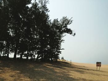 Trees on landscape against clear sky