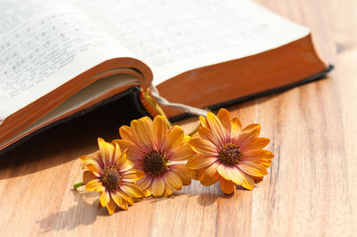 Close-up of flowers on table