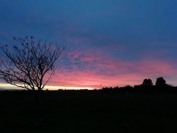 Silhouette bare tree on field against romantic sky at sunset