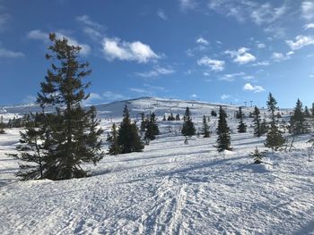 Scenic view of snow covered mountains against sky