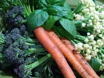 High angle view of vegetables