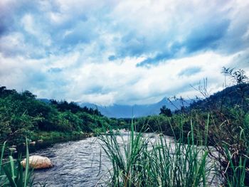 Scenic view of river against sky