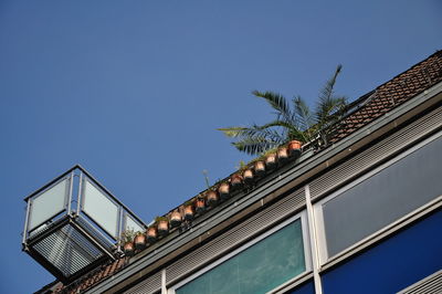 Low angle view of palm tree and building against sky