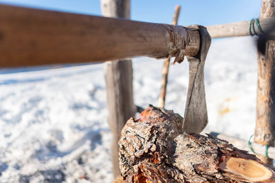 Close-up of log hanging 