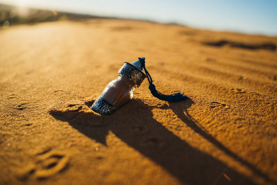 Close-up of gift on sand