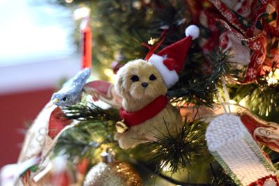 Close-up of christmas tree