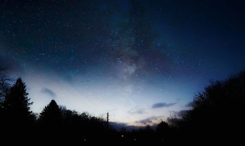 Low angle view of silhouette trees against sky at night