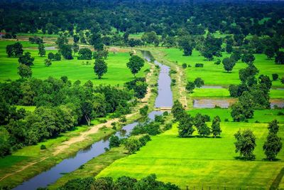 Scenic view of green landscape