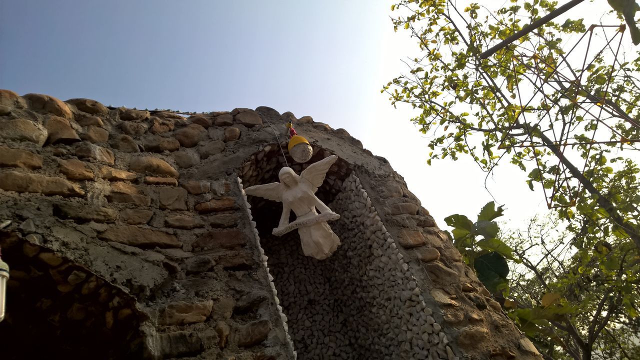 LOW ANGLE VIEW OF TREE AGAINST STONE WALL