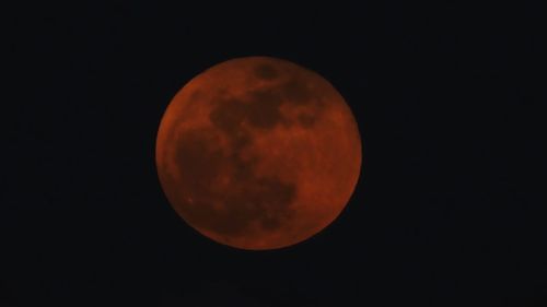 Close-up of moon against clear sky at night