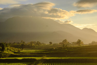 Panoramic view of the morning view on the misty mountain and the sun rising