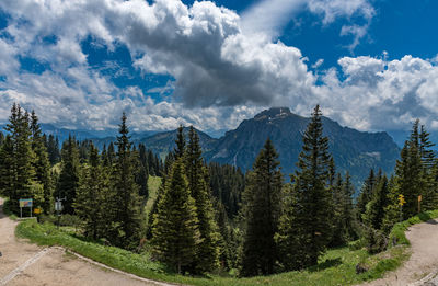 Panoramic view of trees and mountains against sky