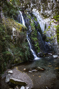 Scenic view of waterfall in forest