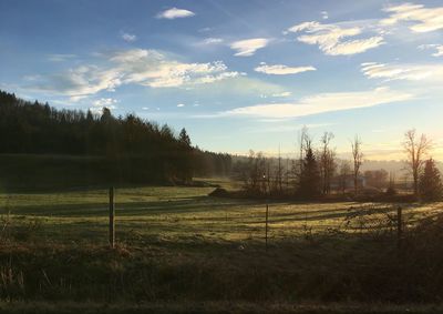 Scenic view of field against sky at sunset