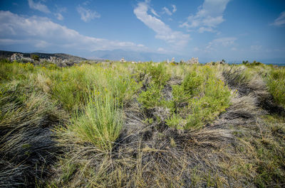 Scenic view of land against sky