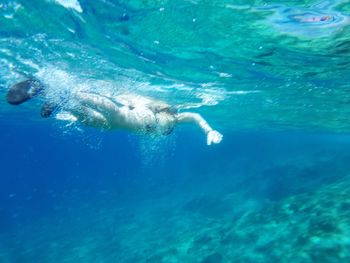 Close-up of fish swimming in sea