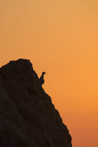 Silhouette of rock formation against orange sky with seagull silhouetted