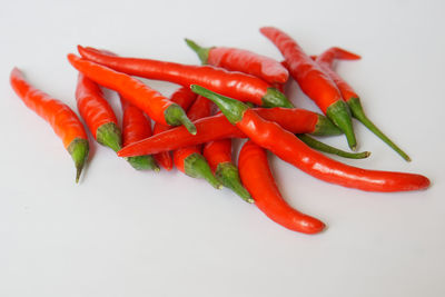 Close-up of red chili pepper against white background