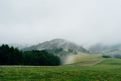 Scenic view of landscape against sky